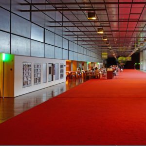 Carpet & Flooring