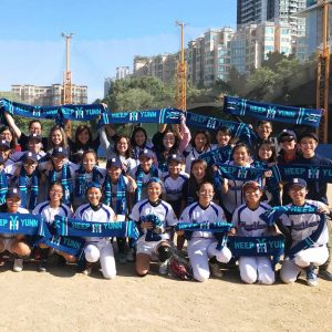 Cheering Scarves