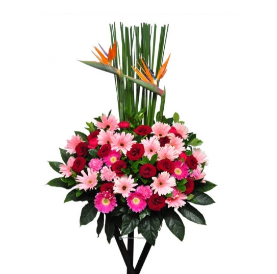 florist 13 opening